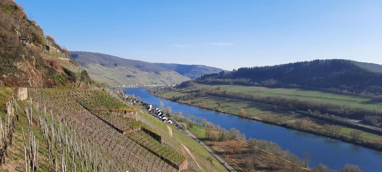 Apartment In Spay Smile Zell-Merl Mosel Экстерьер фото